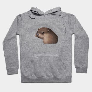 Eurasian Otter 2 Hoodie